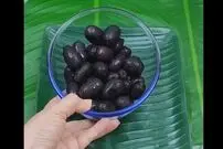 ( ویدیو) 7 میوه کمیاب که حداقل 1 بار باید تست شود