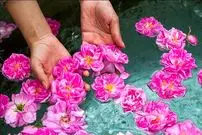 گلاب اصل ؛ راهنمای تشخیص گلاب خالص کاشان و میمند