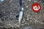 تصاویر| خنثی‌سازی پرتابه عمل‌نکرده در خیابان آزادی
