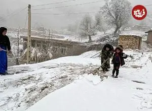 ببینید| ویدئویی پربازدید از برف‌روبی خانه‌ای در پیرانشهر