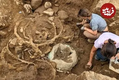 ارابه‌های چهارچرخ باستانی از دل زمین کشاورزی بیرون آمدند