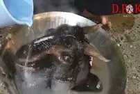 (ویدئو) پخت عجیب کله پاچه بز به سبک هندی ها!