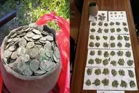 کشف هزاران سکه با فلزیاب
