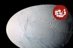 کشف شواهد تازه از احتمال وجود حیات در اقیانوس زیرسطحی «انسلادوس»