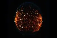 ناسا قصد دارد برای نخستین‌بار روی ماه آتش روشن کند