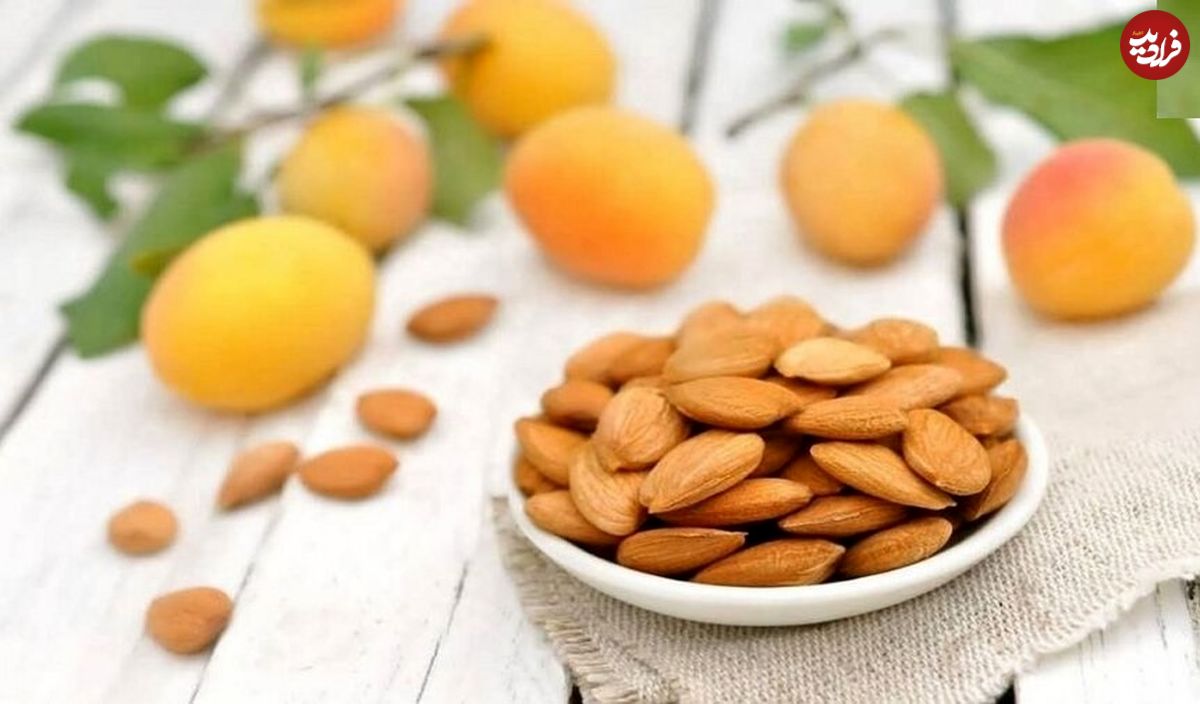 فواید و مضرات هسته زردآلو