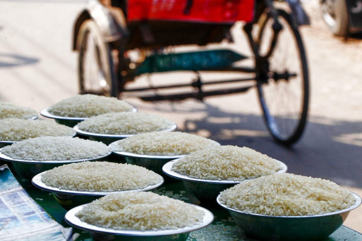 قیمت برنج؛ جهش ۲۴۰ درصدی از شالیزار تا فروشگاه