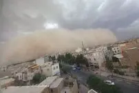 (عکس) درختی که در اثر وزش باد شدید در تهران، روی یک تاکسی افتاد