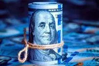 قیمت رسمی دلار و یورو