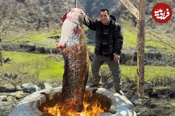 ببینید| غذای روستایی در آذربایجان؛ صید گربه ماهی بزرگ و کباب کردن آن در تنور