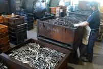 (ویدئو) ژاپنی ها چگونه در کارخانه انبردست تولید می کنند؟