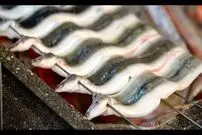 ببینید| غذای خیابانی در ژاپن؛ مهارت آشپز خیابانی در برش و کباب کردن مارماهی در توکیو