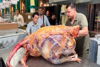 ببینید؛ غذای خیابانی در ازبکستان؛ پلو مخلوط با گوشت شتر مرغ و کباب دیگی
