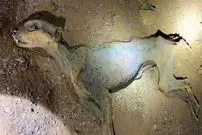کشف «مومیایی طبیعی یوزپلنگ» در غارهای شمال عربستان