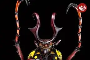 عکس| سوسک آسیایی درشت اندام 