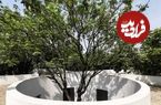 تصاویر؛ معماری بی‌نقص خانۀ چینی که در میان درختان زندگی می‌کند