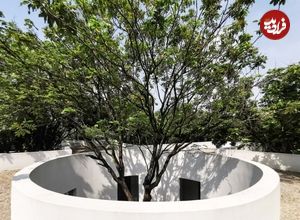 تصاویر؛ معماری بی‌نقص خانۀ چینی که در میان درختان زندگی می‌کند