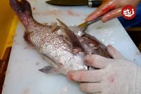 ببینید| غذای خیابانی در کره؛ تهیه ساشیمی با ماهی و اختاپوس کبابی در سئول