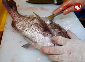 ببینید| غذای خیابانی در کره؛ تهیه ساشیمی با ماهی و اختاپوس کبابی در سئول