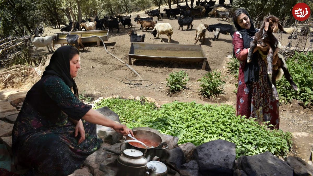 (ویدئو) پخت هیجان انگیز خورشت خلال توسط این دو زن عشایر کردستانی
