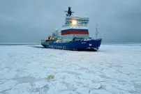 ببینید| خرس قطبی برای پیدا کردن غذا، سوار زیردریایی هسته‌ای روسیه شد!