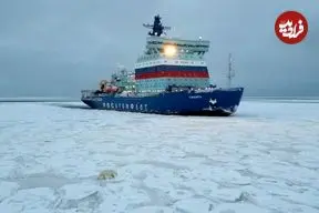 ببینید| خرس قطبی برای پیدا کردن غذا، سوار زیردریایی هسته‌ای روسیه شد!