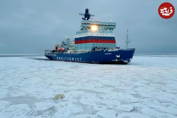 ببینید| خرس قطبی برای پیدا کردن غذا، سوار زیردریایی هسته‌ای روسیه شد!