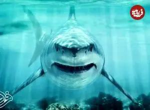 این کوسه عظیم‌الجثه در عصر دایناسورها سلطان اقیانوس‌ها بود!