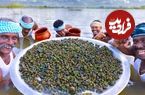 ببینید؛ غذای روستایی در هند؛ صید حلزون های ریز و تهیه غذا با آن ها