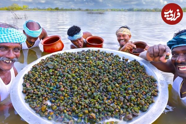 ببینید؛ غذای روستایی در هند؛ صید حلزون های ریز و تهیه غذا با آن ها