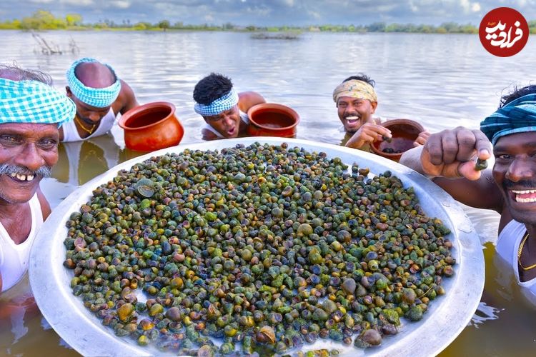 ببینید؛ غذای روستایی در هند؛ صید حلزون های ریز و تهیه غذا با آن ها