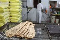 عکس؛ سفر به تاریخ؛ نانواهای شیرازی در حال گرفتن عکس یادگاری؛ بیش از یک قرن قبل