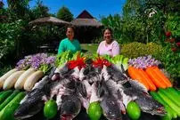 ببینید| غذای روستایی در سنگاپور؛ صید ماهی و پخت غذا با آن