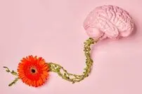 16 استراتژی برای باهوش‌تر و عاقل‌تر شدن
