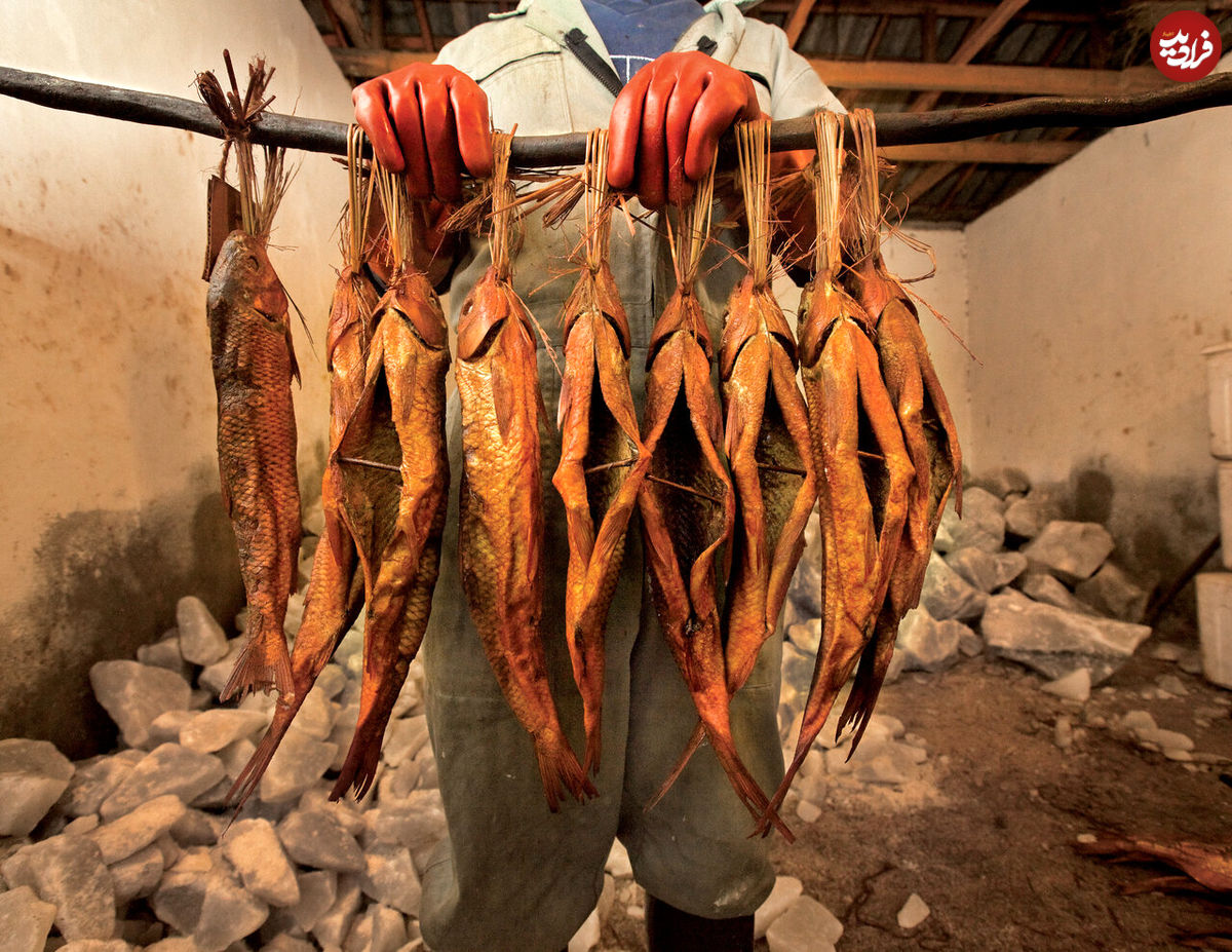 عجیب‌ترین شغل در ایران ؛ کار این افراد خفه کردن ماهی با دود است!