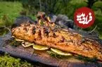 ببینید| غذای روستایی در انگلیس؛ کباب کردن ماهی سالمون روی آتش و در دل جنگل