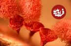 شاهکارهای عکاسی در سال 2025 که دنیای نادیدنی را نشان می‌دهند؛ از «سوسک برنج» تا «تخم‌گذاری شب‌پره»