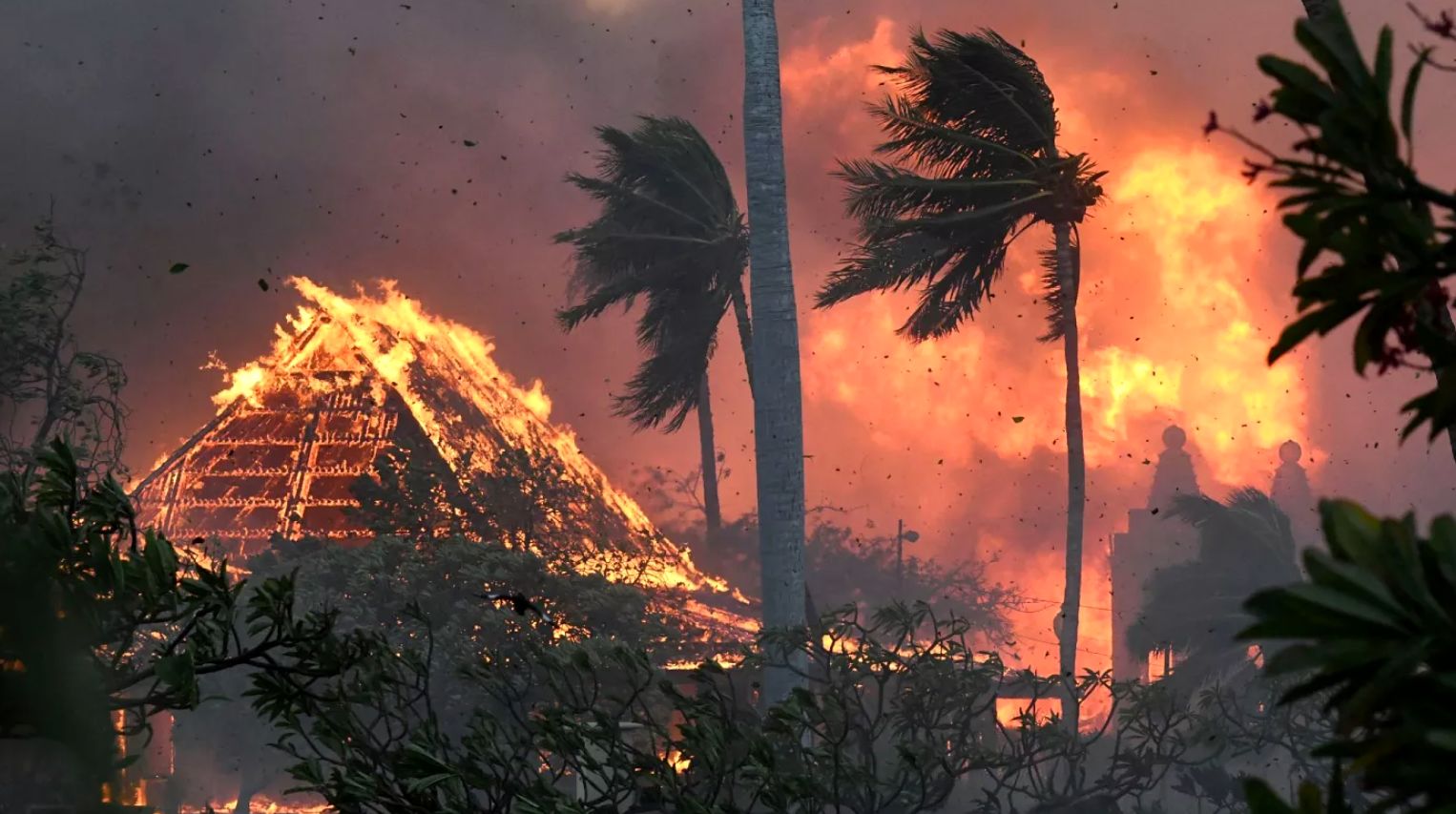 تصویری ترسناک از خاکستر شدن خودروها در هاوایی با بادهای آتشین!