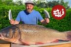 ببینید| غذای روستایی در آذربایجان؛ پخت ماهی کپور به روش سنتی در 50 کیلو نمک