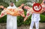 ببینید| غذای روستایی در قطر؛ پخت بریانی با گوشت بره روی برگ های نخل