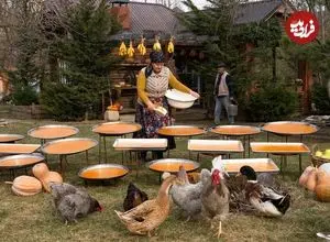 ببینید| غذای روستایی در آذربایجان؛ تهیه لواشک کدو تنبل در طبیعت روستا