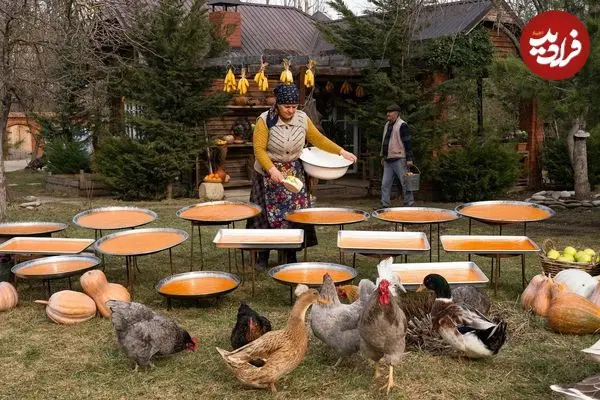 ببینید| غذای روستایی در آذربایجان؛ تهیه لواشک کدو تنبل در طبیعت روستا