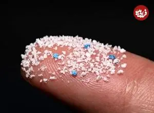 ردپای خطرناک میکروپلاستیک‌ها در بدن انسان