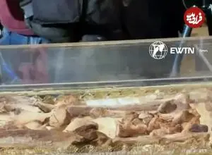ببینید| نمایش بقایای پیکر یک قدیس پس از ۸۰۰ سال