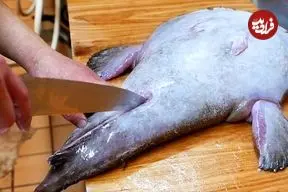 ببینید| غذای خیابانی در ژاپن؛ برش و تهیه دو نوع غذا با راهب ماهی در اوکیناوا