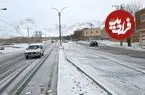 عکس| فریدونشهر اصفهان زیر بارش برف دفن شد