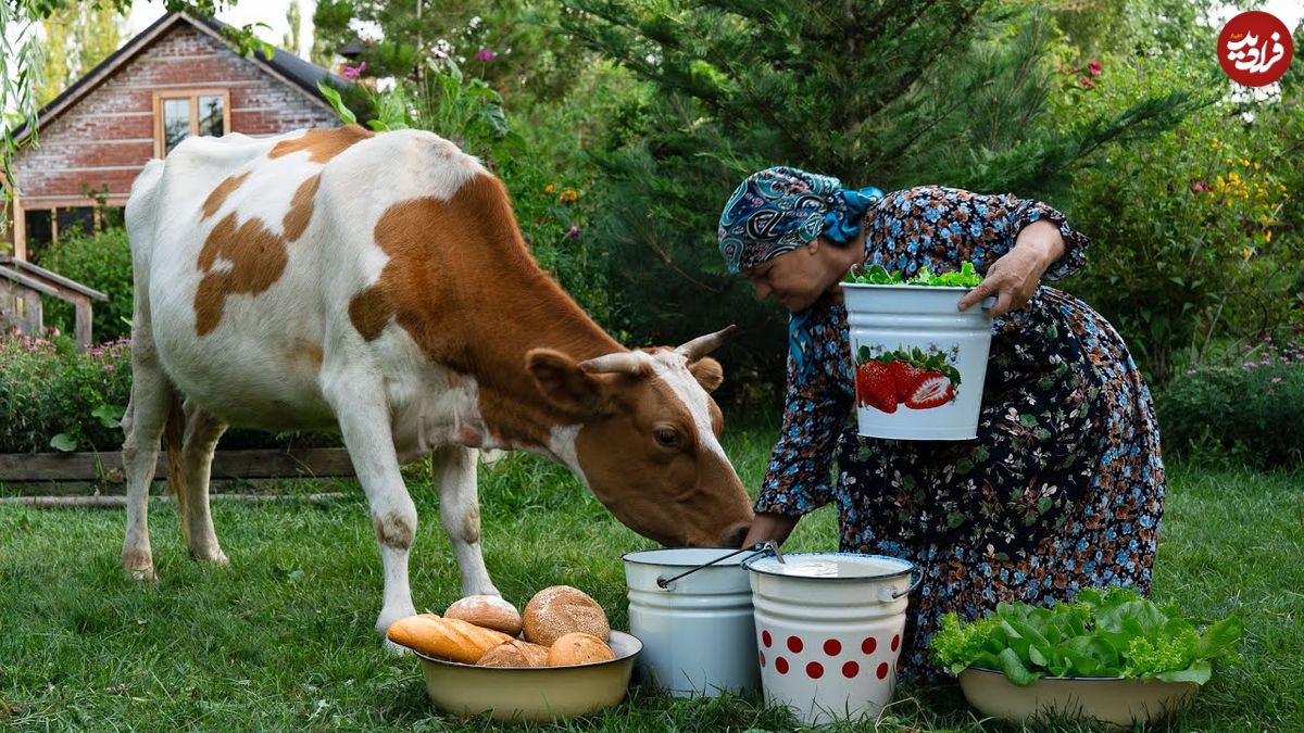 ببینید؛ غذای روستایی در آذربایجان؛ تهیه دوغ، سوپ ماست و نان تنوری توسط مادربزرگ روستایی