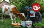 ببینید؛ غذای روستایی در آذربایجان؛ تهیه دوغ، سوپ ماست و نان تنوری توسط مادربزرگ روستایی