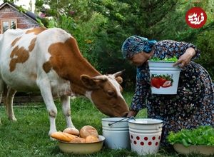 ببینید؛ غذای روستایی در آذربایجان؛ تهیه دوغ، سوپ ماست و نان تنوری توسط مادربزرگ روستایی