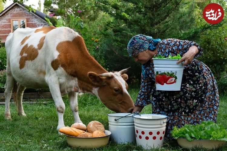 ببینید؛ غذای روستایی در آذربایجان؛ تهیه دوغ، سوپ ماست و نان تنوری توسط مادربزرگ روستایی